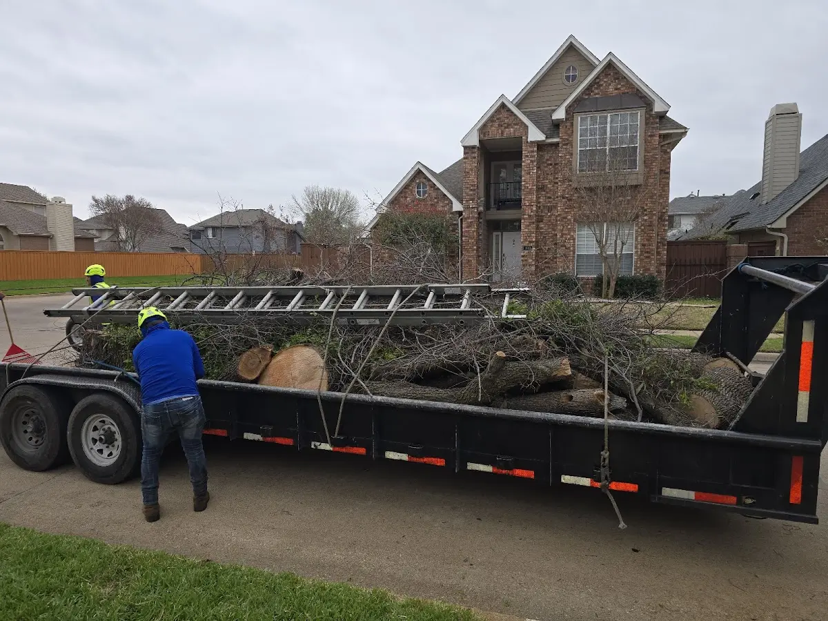 Expert Tree Fertilization with proper safety equipment in Littlerock